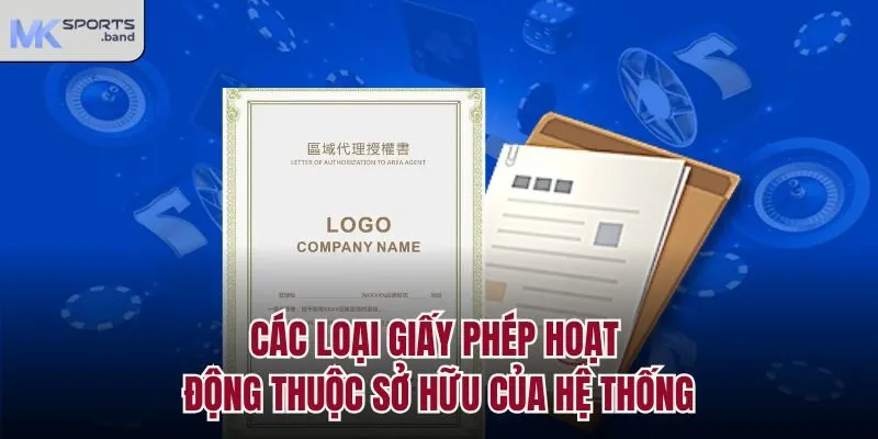 Các loại giấy phép hoạt động thuộc sở hữu của hệ thống