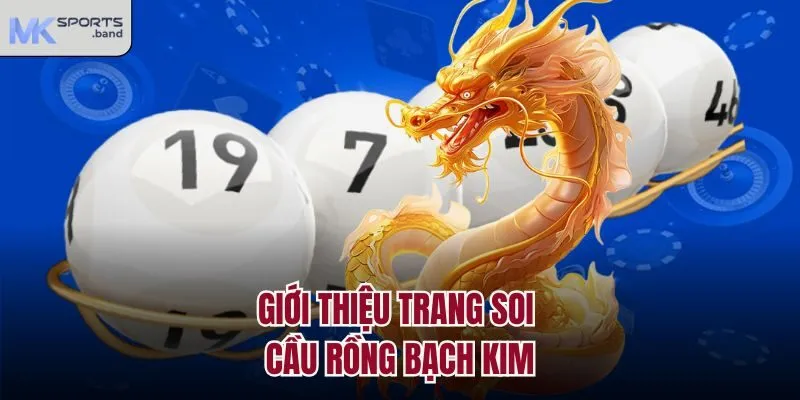 Giới thiệu trang soi cầu Rồng Bạch Kim