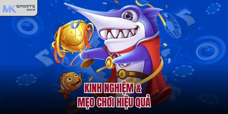 Kinh nghiệm & mẹo chơi hiệu quả