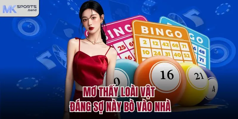 Mơ thấy loài vật đáng sợ này bò vào nhà