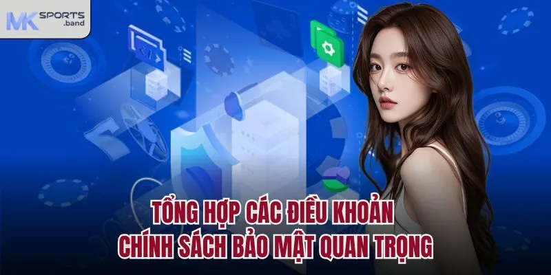 Tổng hợp các điều khoản chính sách bảo mật quan trọng
