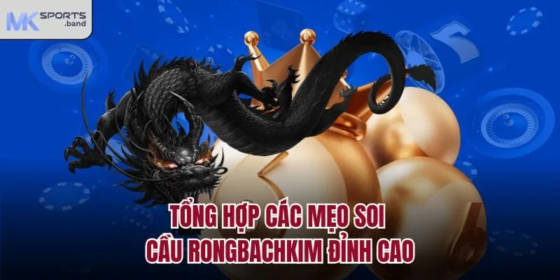 Tổng hợp các mẹo soi cầu Rongbachkim đỉnh cao